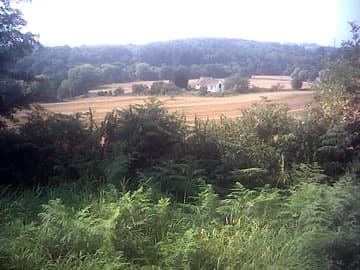 St John the Baptist's Church, Llanrothal in Llanrothal, Monmouthshire