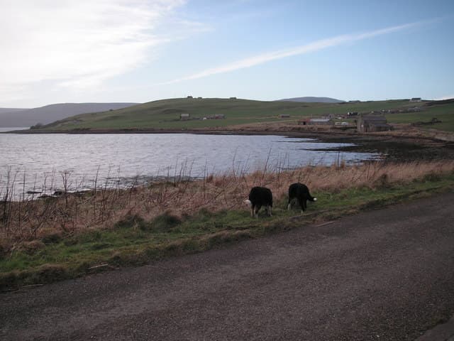 Houton, chapel 60m E of Sunnybraes in Stromness, Orkney