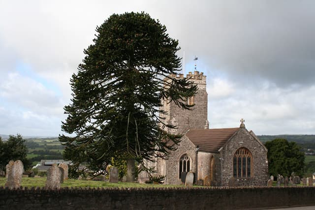 Church of St Mary the Virgin in Burlescombe, Devon