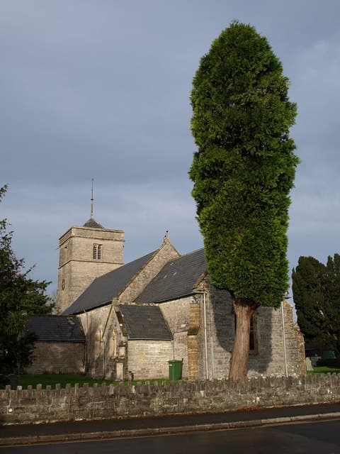 Holy Trinity in Street, Somerset