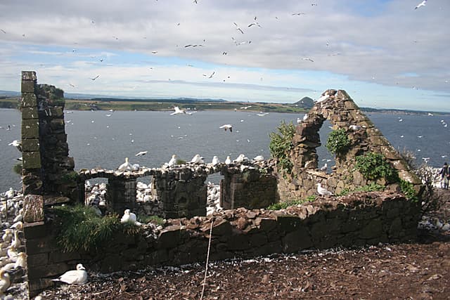Bass Rock, St Baldred's Chapel in Dunbar, East Lothian
