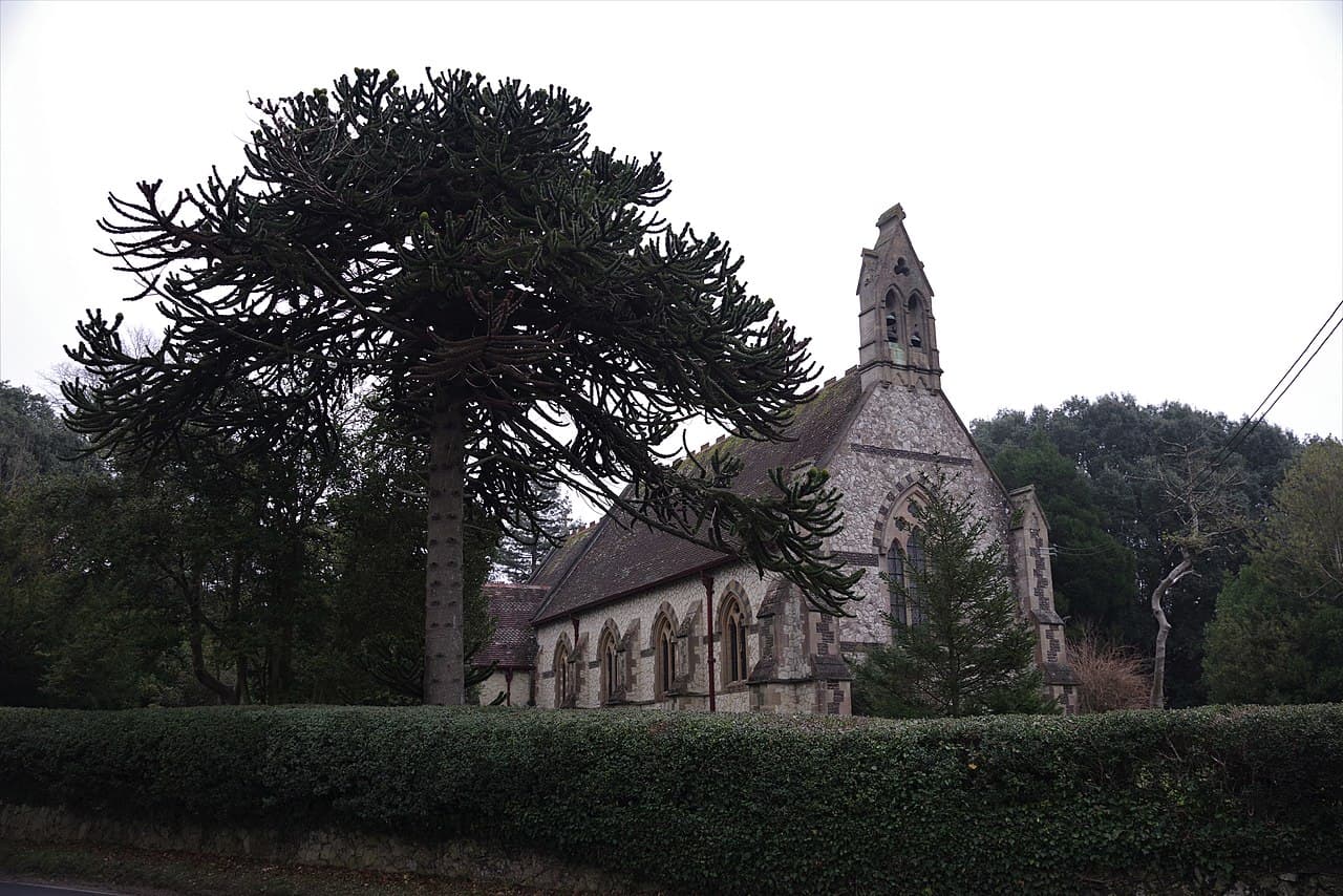 Church of All Saints in Kingsley, Surrey